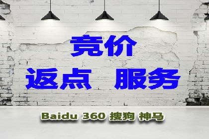 媒体平台的信息流广告代理服务案例探讨