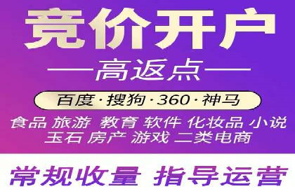 百度SEO推广案例：实战解析与优化建议