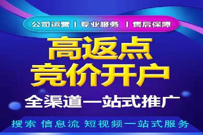 成功企业的SEM竞价优化经验与启示